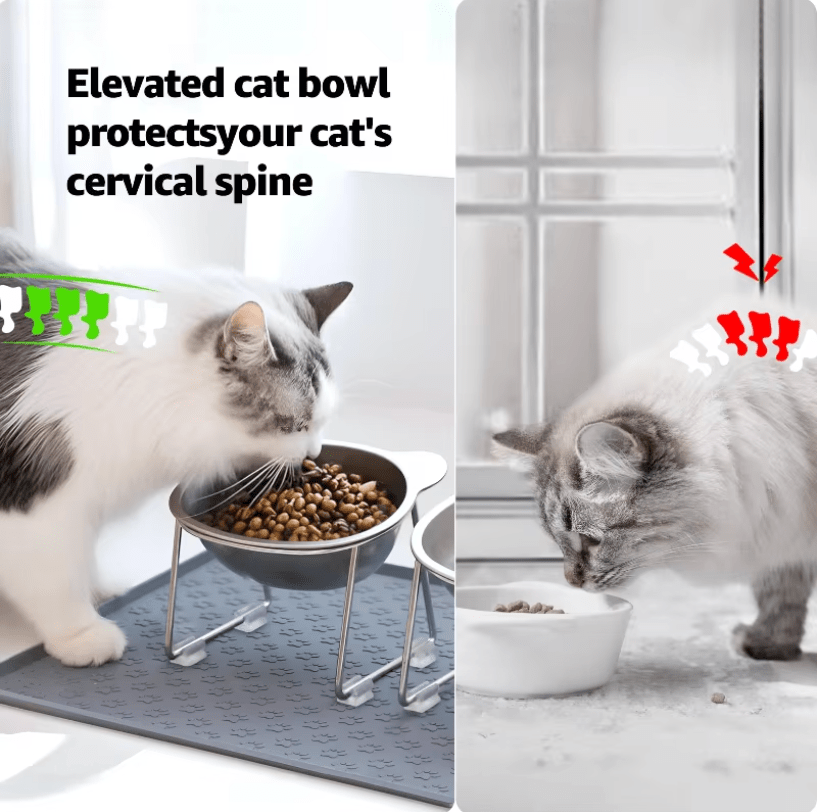 Cat eating from elevated bowl designed to improve digestion and reduce neck strain